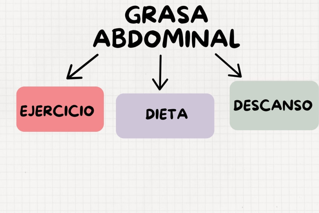 Esquema simple sobre cómo reducir grasa abdominal con tres pilares: ejercicio, dieta y descanso