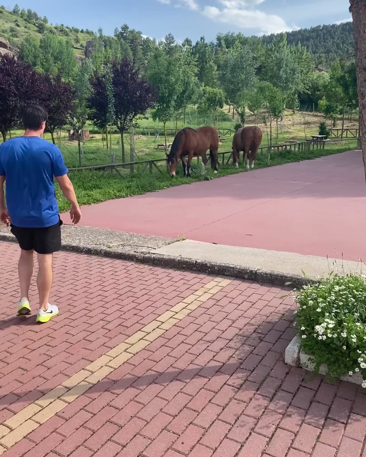 Paseando por un camino junto a unos caballos