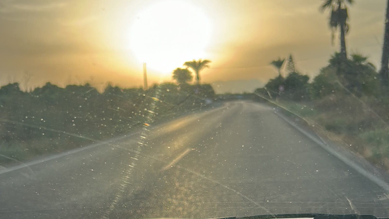 Programas | AlejandroAriasFit Carretera al amanecer camino del gimnasio