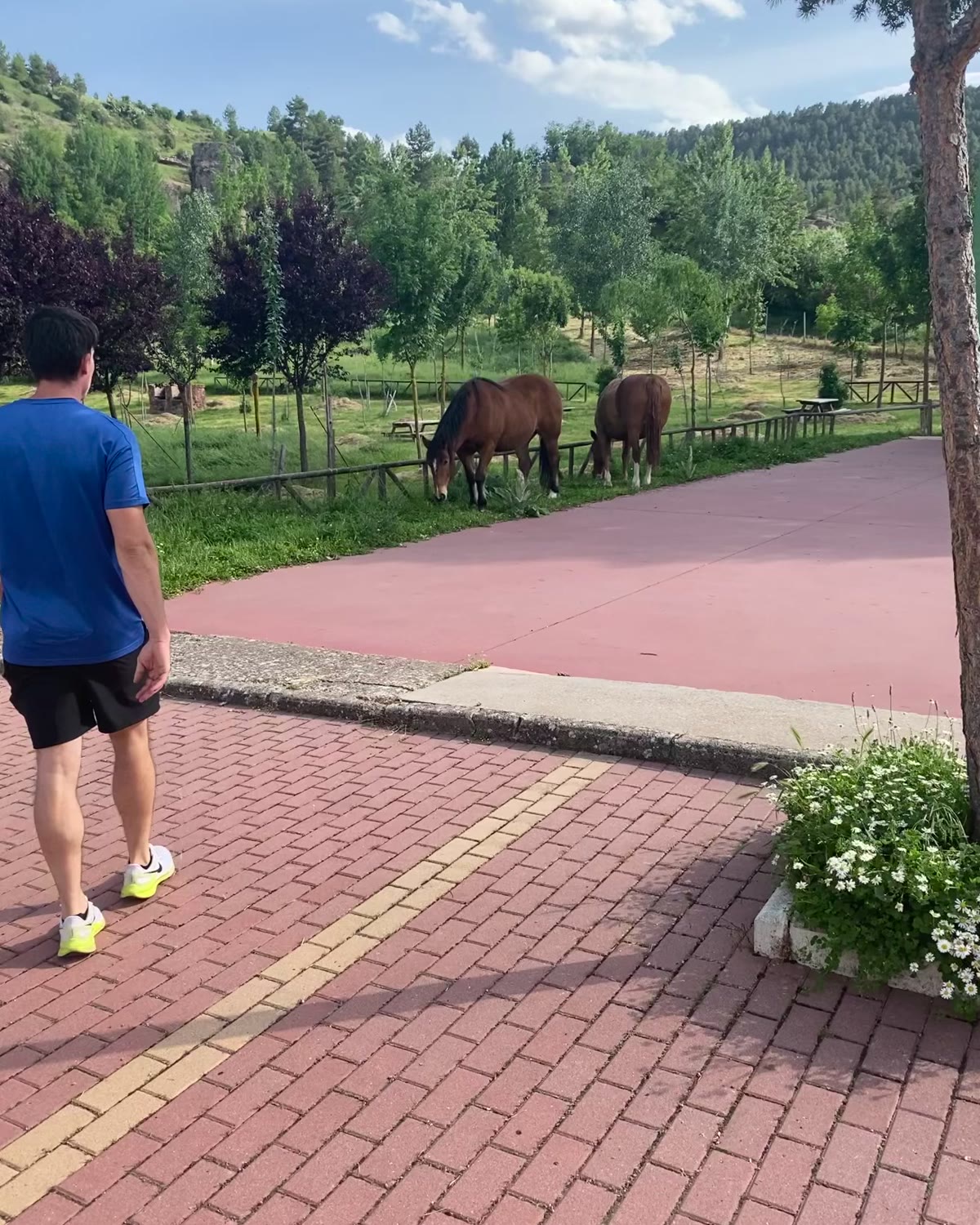 Alejandro Arias andando por un camino en el campo